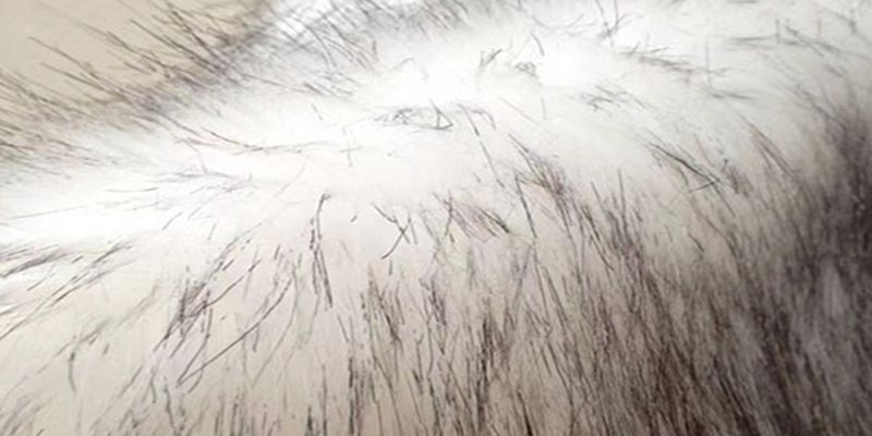 Giyim tekstil ürünleri için Çözgü Örgü Makinaları