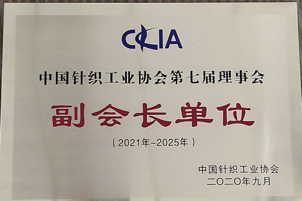 Çin Örgü Sanayi Derneği 7. Konseyi Başkan Yardımcısı Birimi