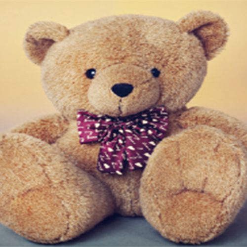 GE2885 Peluş Kumaş Çözgü Örgü Makinası